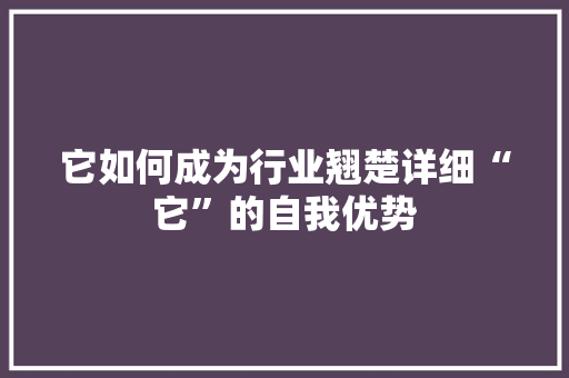 它如何成为行业翘楚详细“它”的自我优势