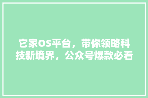 它家OS平台，带你领略科技新境界，公众号爆款必看！