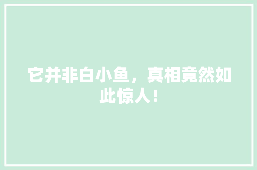 它并非白小鱼，真相竟然如此惊人！