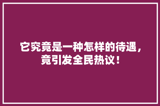 它究竟是一种怎样的待遇，竟引发全民热议！