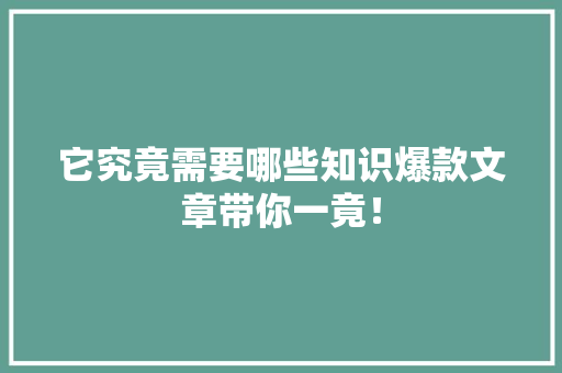 它究竟需要哪些知识爆款文章带你一竟！