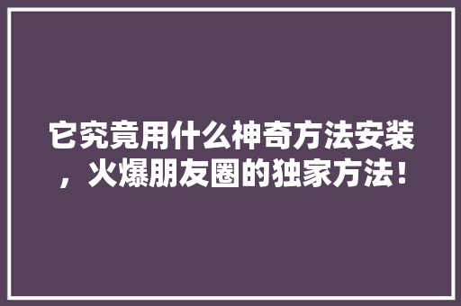 它究竟用什么神奇方法安装，火爆朋友圈的独家方法！