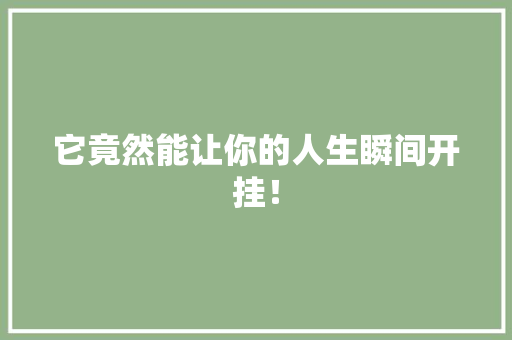 它竟然能让你的人生瞬间开挂! SEO关键词 它竟然能让你的人生瞬间开挂! SEO关键词