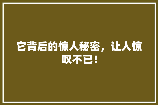 它背后的惊人秘密，让人惊叹不已！