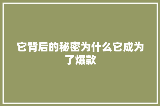 它背后的秘密为什么它成为了爆款