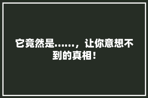 它竟然是……,让你意想不到的真相! 搜狗SEO 它竟然是……,让你意想不到的真相! 搜狗SEO