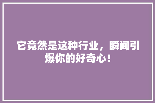 它竟然是这种行业，瞬间引爆你的好奇心！ SEO关键词
