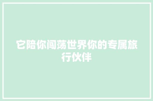 它陪你闯荡世界你的专属旅行伙伴