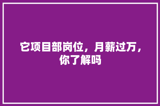 它项目部岗位，月薪过万，你了解吗