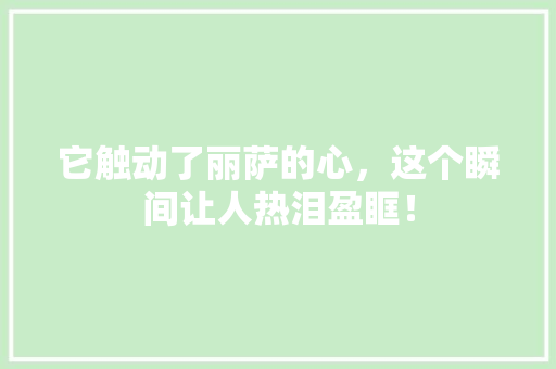 它触动了丽萨的心，这个瞬间让人热泪盈眶！ SEO关键词