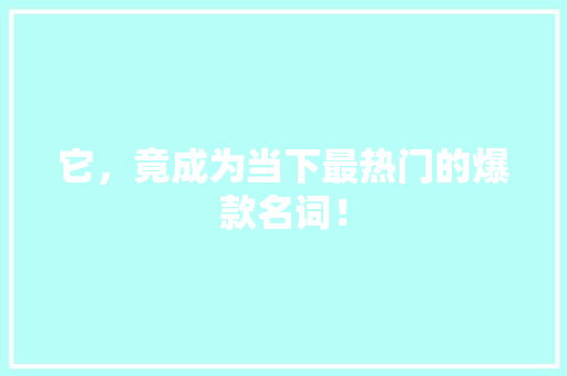 它，竟成为当下最热门的爆款名词！