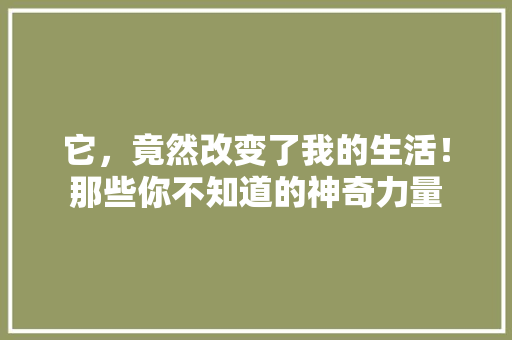 它，竟然改变了我的生活！那些你不知道的神奇力量 神马SEO