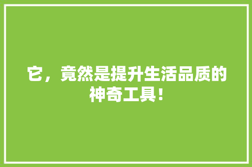 它，竟然是提升生活品质的神奇工具！ 神马SEO