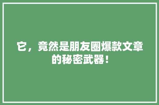 它，竟然是朋友圈爆款文章的秘密武器！ 神马SEO