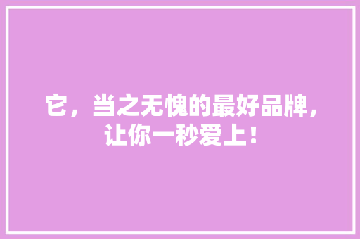 它，当之无愧的最好品牌，让你一秒爱上！