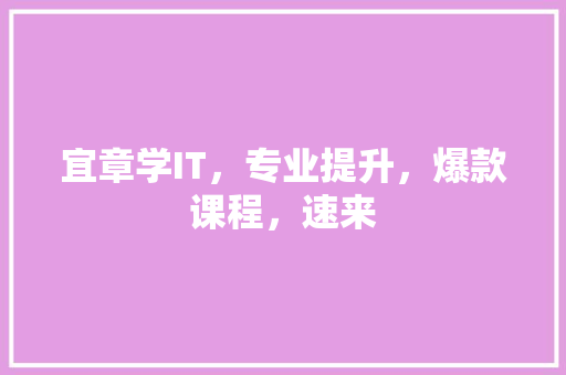 宜章学IT，专业提升，爆款课程，速来 百度SEO