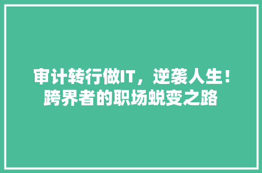 审计转行做IT，逆袭人生！跨界者的职场蜕变之路 网站建设公司