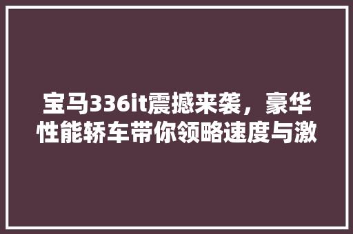 宝马336it震撼来袭，豪华性能轿车带你领略速度与激情！