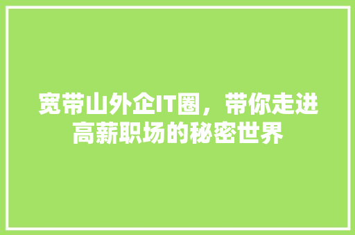 宽带山外企IT圈，带你走进高薪职场的秘密世界