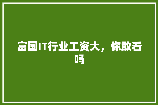 富国IT行业工资大，你敢看吗