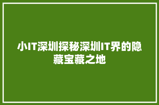 小IT深圳探秘深圳IT界的隐藏宝藏之地