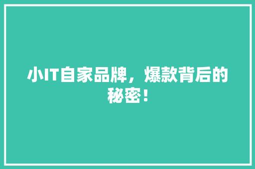 小IT自家品牌，爆款背后的秘密！