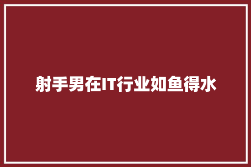 射手男在IT行业如鱼得水