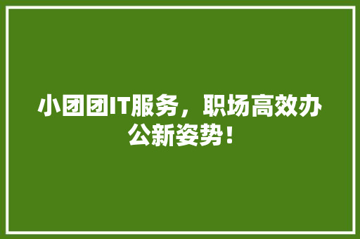 小团团IT服务，职场高效办公新姿势！ 网站建设公司