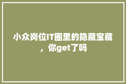 小众岗位IT圈里的隐藏宝藏，你get了吗