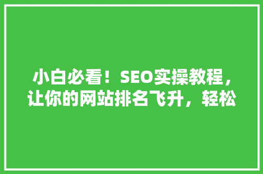 小白必看！SEO实操教程，让你的网站排名飞升，轻松获取海量流量