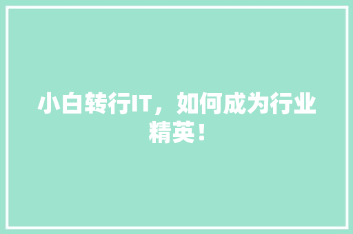 小白转行IT，如何成为行业精英！