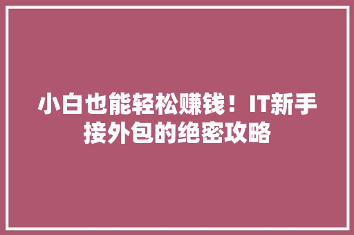 小白也能轻松赚钱！IT新手接外包的绝密攻略
