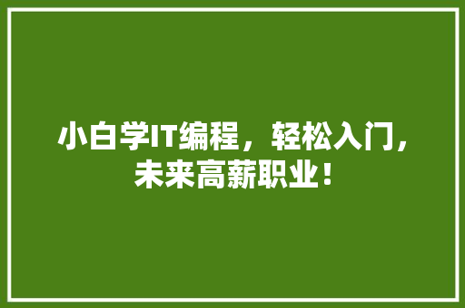 小白学IT编程，轻松入门，未来高薪职业！ 必应SEO