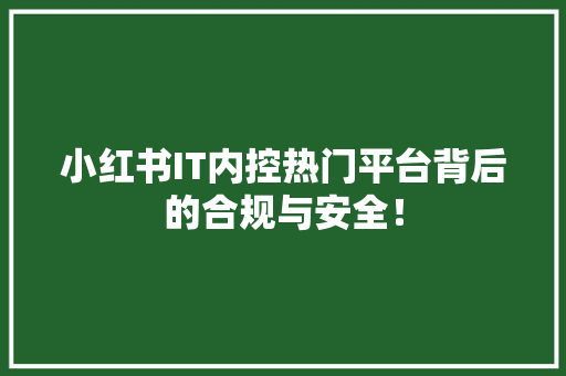 小红书IT内控热门平台背后的合规与安全！ 神马SEO