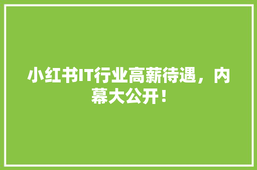 小红书IT行业高薪待遇，内幕大公开！