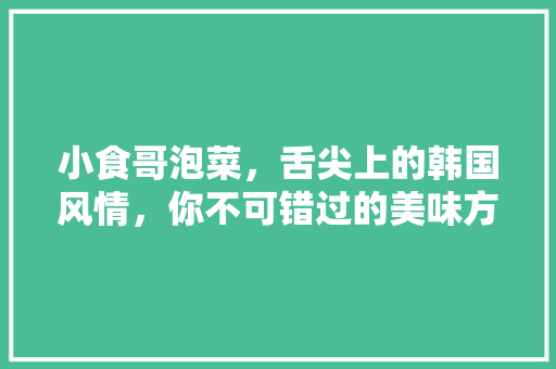 小食哥泡菜，舌尖上的韩国风情，你不可错过的美味方法！