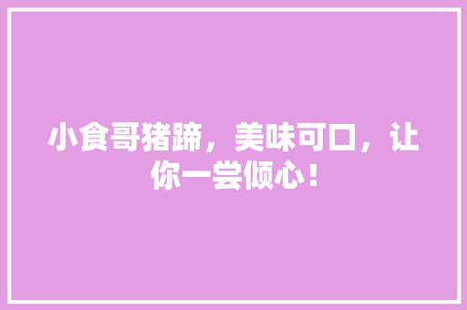 小食哥猪蹄，美味可口，让你一尝倾心！