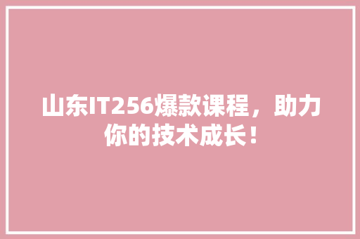 山东IT256爆款课程，助力你的技术成长！