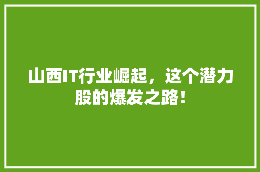山西IT行业崛起，这个潜力股的爆发之路！