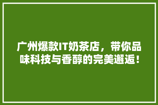广州爆款IT奶茶店，带你品味科技与香醇的完美邂逅！