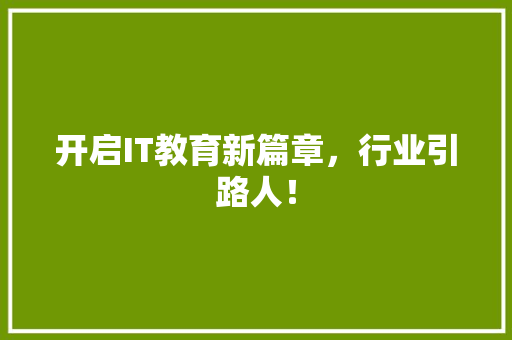 开启IT教育新篇章，行业引路人！