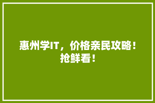 惠州学IT，价格亲民攻略！抢鲜看！ 网站建设公司
