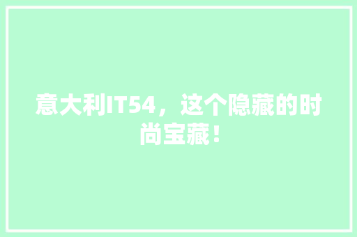 意大利IT54，这个隐藏的时尚宝藏！