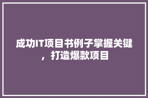 成功IT项目书例子掌握关键，打造爆款项目