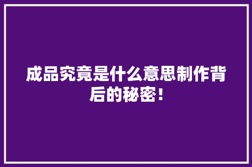 成品究竟是什么意思制作背后的秘密！
