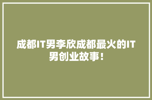 成都IT男李欣成都最火的IT男创业故事！