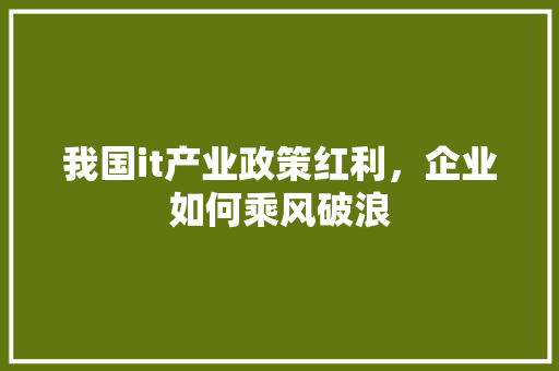 我国it产业政策红利，企业如何乘风破浪
