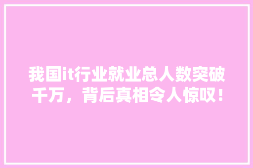 我国it行业就业总人数突破千万，背后真相令人惊叹！