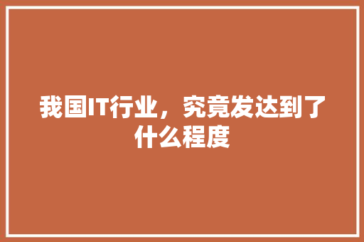 我国IT行业，究竟发达到了什么程度