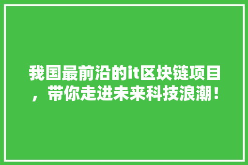 我国最前沿的it区块链项目，带你走进未来科技浪潮！